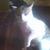 Bo Bomg's profile image
