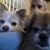 Steve Seward's profile image