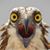 Amy Jordan's profile image