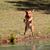 Tim Fenstermacher's profile image