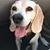 Caroline Krolick's profile image