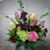 Sandy Shull Cox's profile image