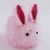 Tiffany Tousignant's profile image