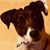 Richard Scott's profile image