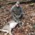 Mike Negley's profile image