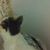 Dan Stigerwalt's profile image