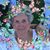Jeanne Marshall's profile image
