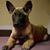 Maureen Roberts's profile image