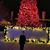 Debra Juarez Gonzales's profile image