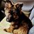 Bruce Moayedi Kinney's profile image