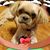 Laureen Bryce's profile image