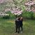 Sharito M Sharon's profile image