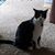 Debby Root Stenson's profile image
