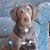 Carole Morin's profile image