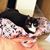 Sally Higgins Brown's profile image