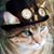 Roxanne York's profile image