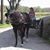 Maureen Kennedy's profile image