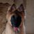 Stephanie Case's profile image