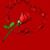 Shirley Murray's profile image