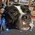 Angela Powell's profile image