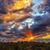 Suki Kisling's profile image