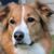 Julie Moon's profile image