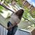 Adriana Chavez's profile image