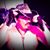 Dell Barse's profile image