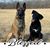 Jeff Kuchel's profile image