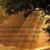 Elinor Dandrea's profile image