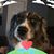Brian Valenti's profile image