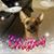 Rhonda Kraft-Russo's profile image