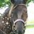 Jeannette McMurry's profile image