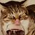 Tanya Rau's profile image