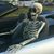 Bill Johannessen's profile image