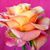 Linda Burney's profile image