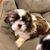 Carol LeRoi-Walsh's profile image