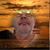 Raimo Karttunen's profile image