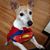 Shannon Etter's profile image