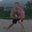 Joshua Miller's profile image