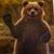 Mark Stone's profile image
