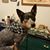 Shawna Nall's profile image
