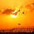 Abo Yassin Alsherif's profile image
