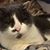 Shelly Holland's profile image