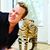Jay Bakenhaus's profile image