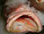 A M.'s profile image