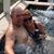 Karen Bakke Sargent's profile image