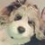 Kara Poirier's profile image