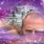 Sue Marang's profile image