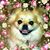 Carol Sellman's profile image